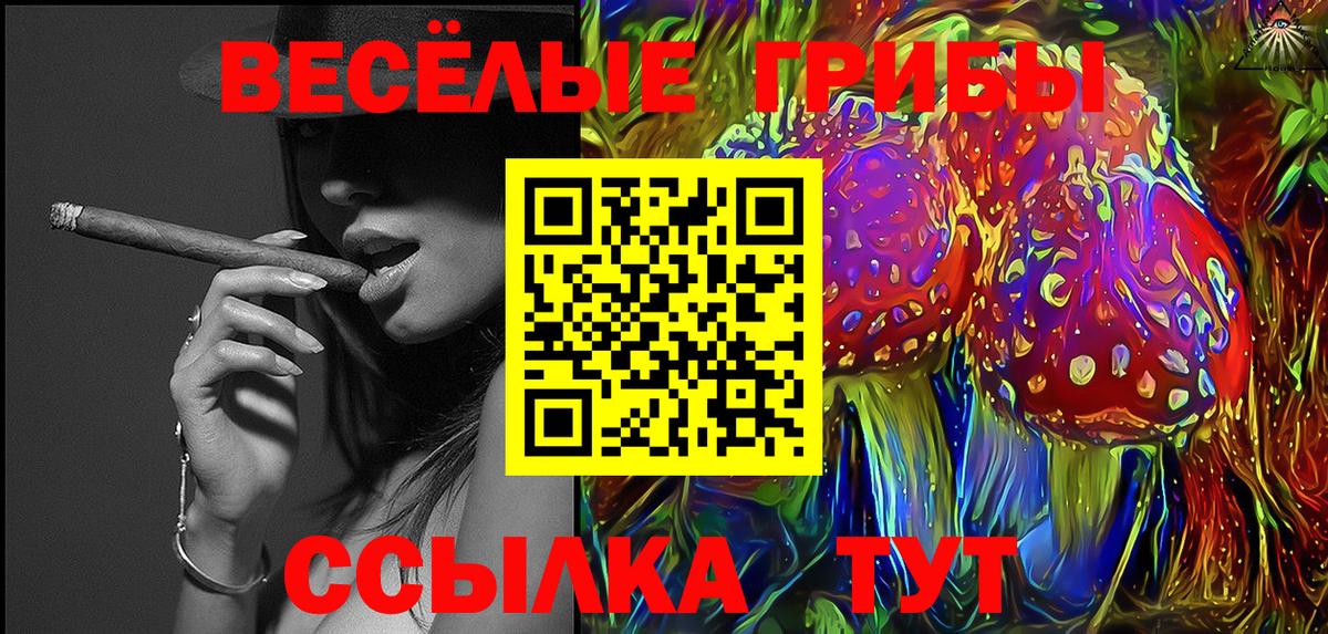 Псилоцибиновые грибы GOLDEN TEACHER  Псилоцибиновые грибы прущие грибы  Вход с VPN  Белгород 
